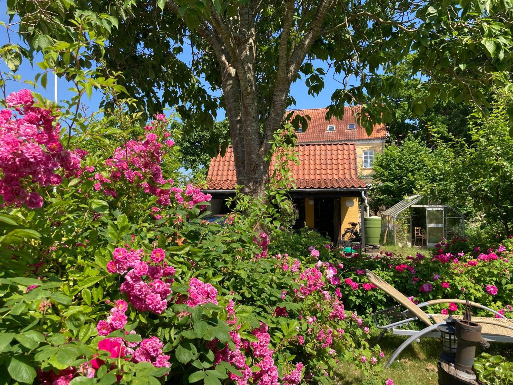 Den Gamle Skomager Hytte Ved Slotssoen Gråsten المظهر الخارجي الصورة